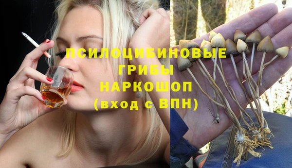 твердый Болохово