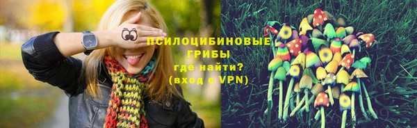 твердый Болохово