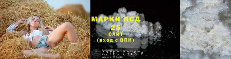 Лсд 25 экстази ecstasy  hydra ONION  Каменногорск 